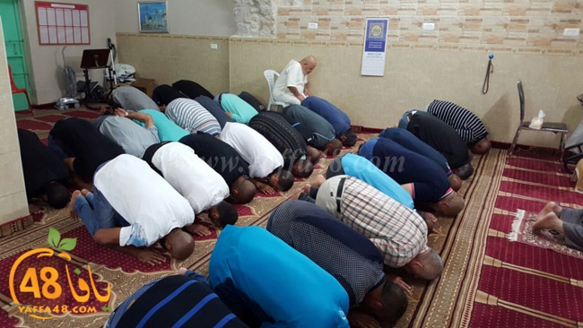 7ozaifa yaman (16).jpg